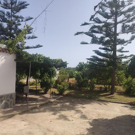 Encantadora Casa Rural Con Gran Porche San Roque  Екстериор снимка