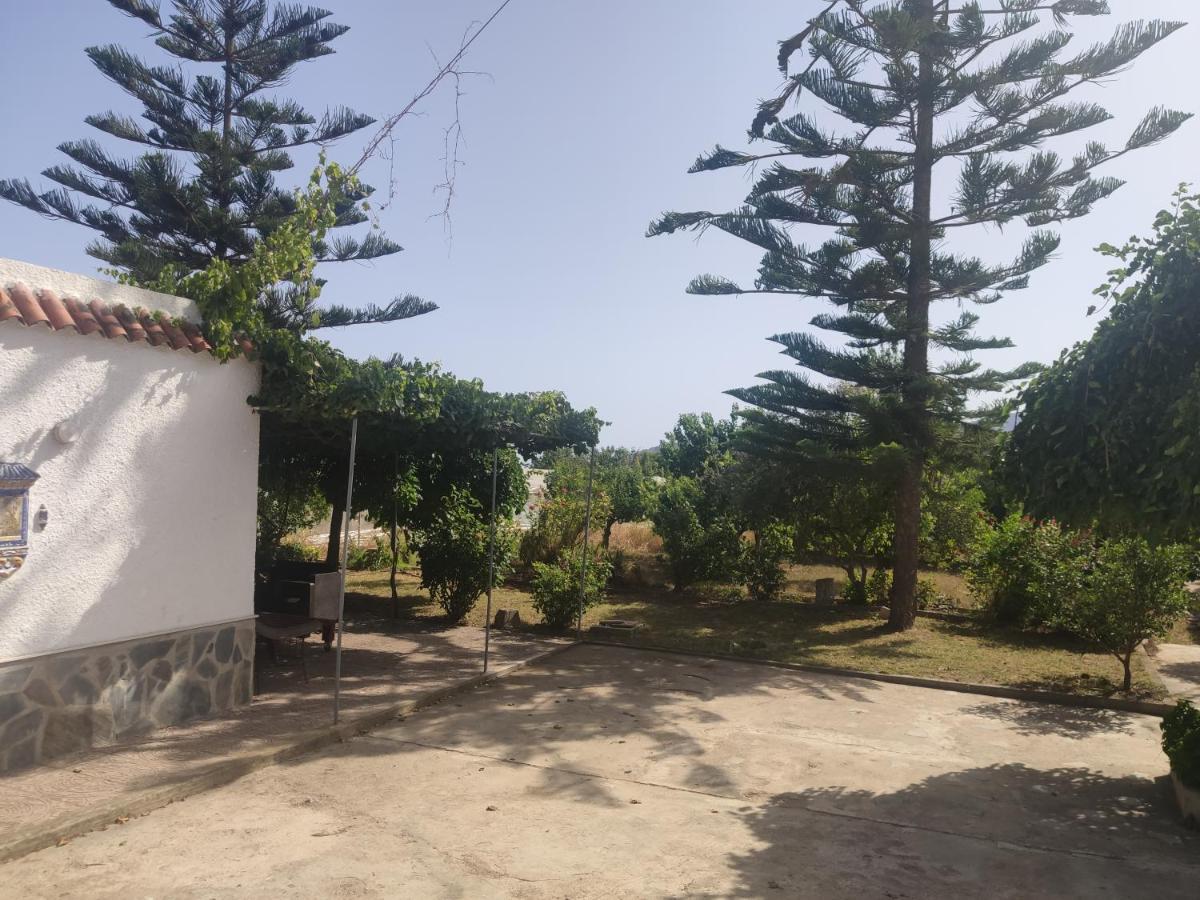 Encantadora Casa Rural Con Gran Porche San Roque  Екстериор снимка