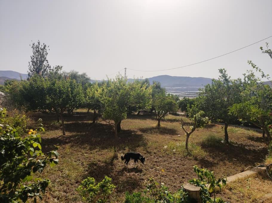Encantadora Casa Rural Con Gran Porche San Roque  Екстериор снимка